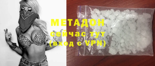прущие грибы Армянск
