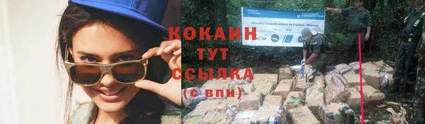 ALPHA PVP Вяземский