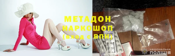 прущие грибы Армянск