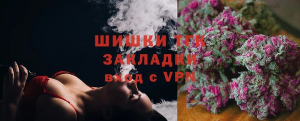 прущие грибы Армянск