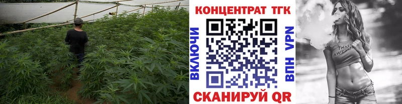 купить закладку  Междуреченск  ТГК вейп 